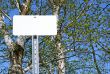 Blank sign in spring forest