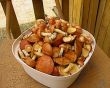 Mushrooms