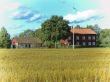 Summer idylle