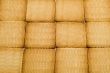 biscuit background