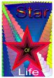 Star of life.