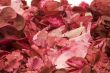 Potpourri Close-up