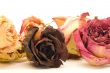 Close-up Dried Flowers