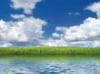 lakeside with green grassfield