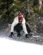 Snowboarding in a forest