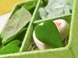 heart aromas