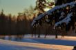 winter landscape