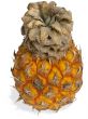 Small pineapple