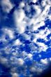 Blue Sky