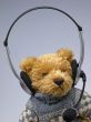  toy  bear with  speakerphone