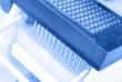 High throughput biology