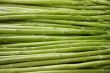 Fresh asparagus