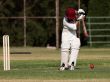 Cricket Backfoot defense block