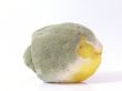 Rotten Lemon