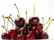 Black Cherries
