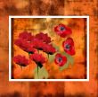 Abstract Floral Composition