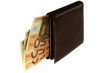 purse with a euros