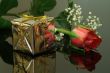 red rose with a gift