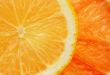 citrus background