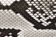 snake skin leather material