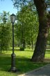 the park