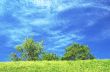 Blue sky