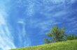 the hill