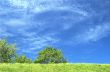 Blue sky