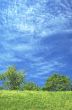 Blue sky