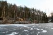 wooden cottage in the forest