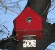 Red Birdhouse