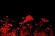 flower abstract textures and backgrounds