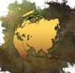 world map