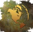 world map