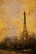 The Eiffel Tower
