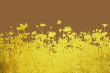 flower abstract textures and backgrounds