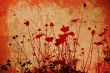 flower abstract textures and backgrounds