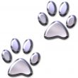 3D Silver Animal Foot Prints