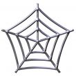 3D Silver Spider Web