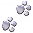 3D Silver Animal Foot Prints