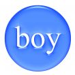 Boy Badge