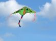 Colered kite