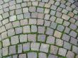 shingle