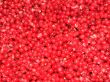 Red Currants