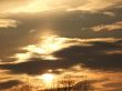Gold Sunset