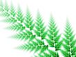 Fractal Abstract Background - Woven leaf
