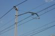 Power lines