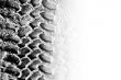 Tyre tread with copyspace