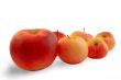 apple leader