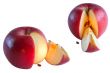 cutting apples
